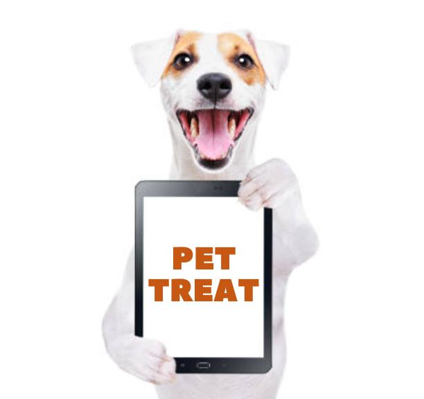 pets treatment