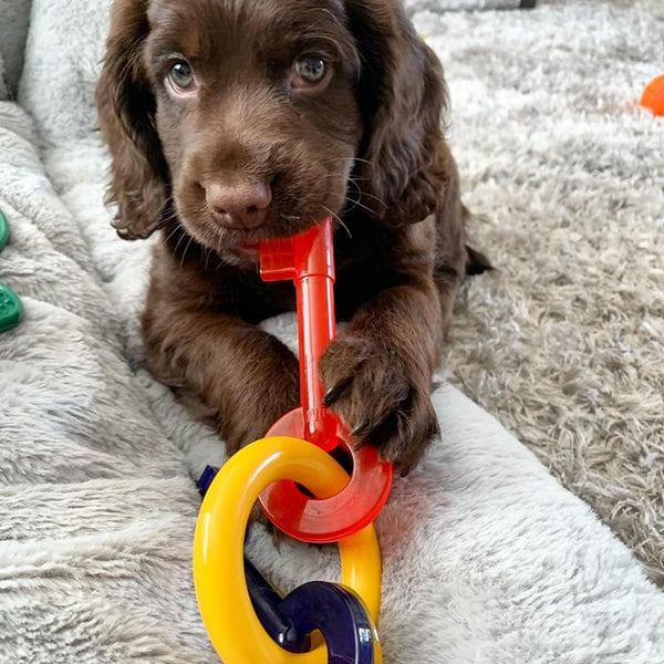 Nylabone Puppy Chew Teething Keys Toy