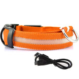 LED DOG COLLAR - USB RECHARGEABLE