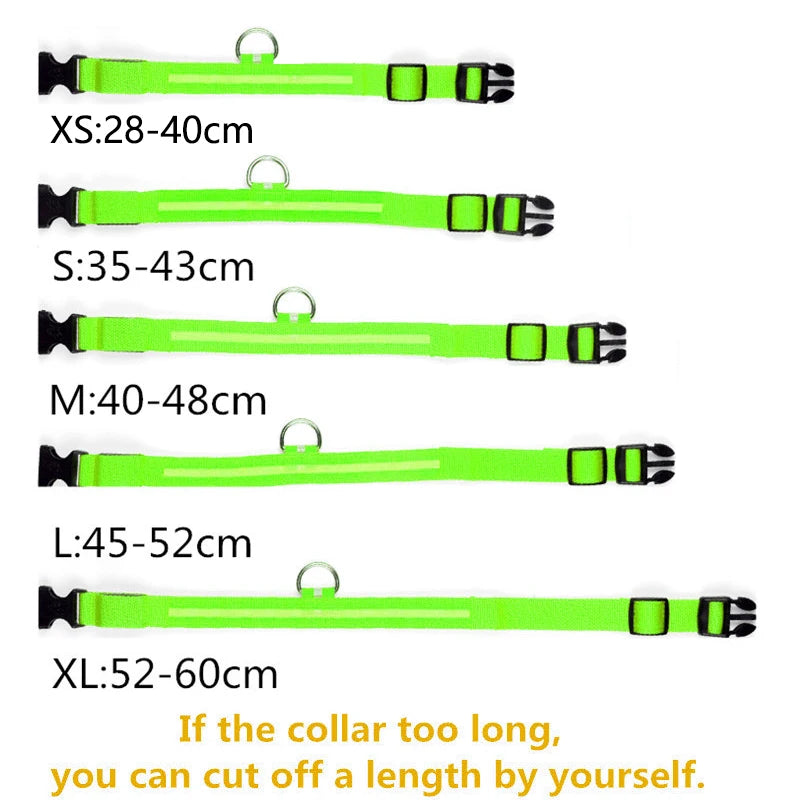 LED DOG COLLAR - USB RECHARGEABLE