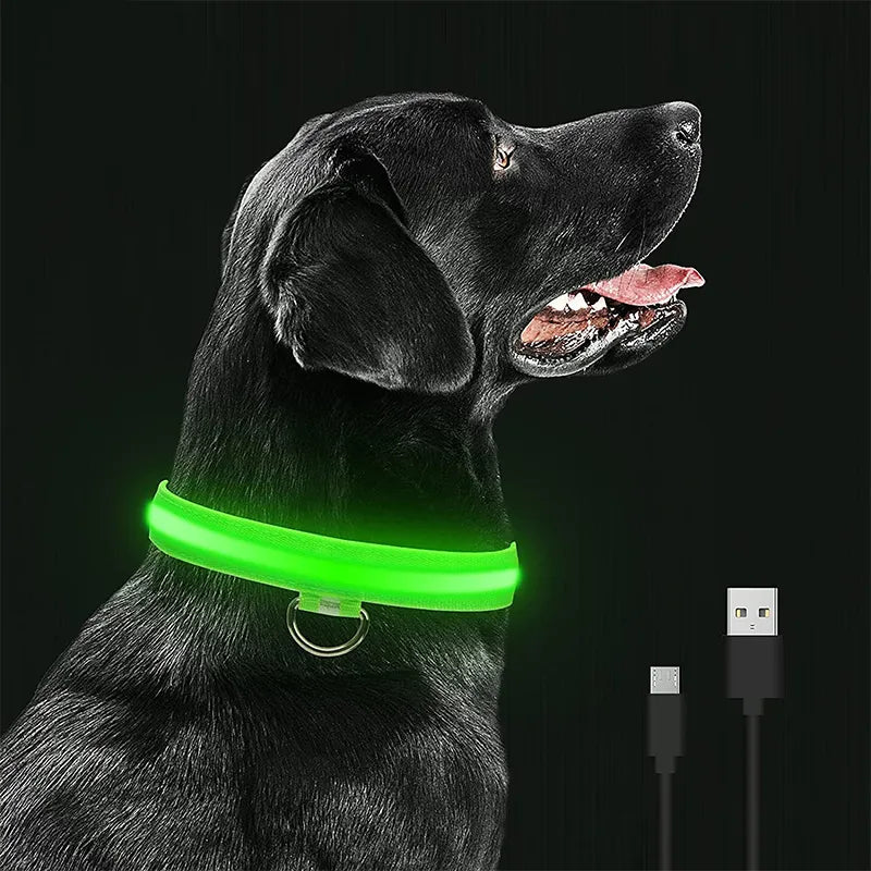 LED DOG COLLAR - USB RECHARGEABLE