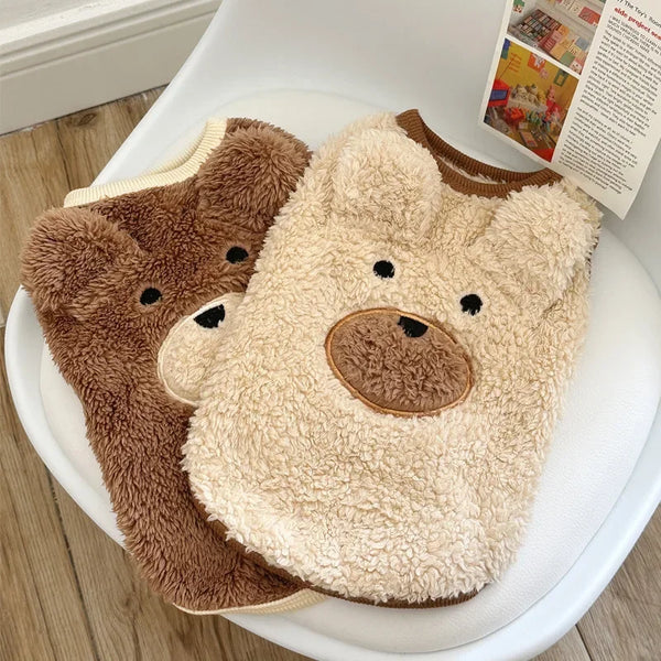 Teddy Bear Sweater Winter Warmth