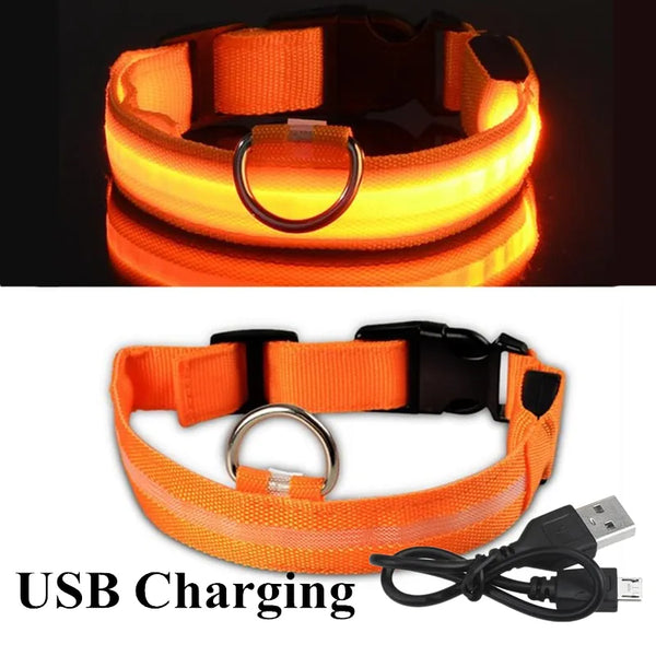 LED DOG COLLAR - USB RECHARGEABLE