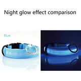 LED DOG COLLAR - USB RECHARGEABLE