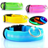 LED DOG COLLAR - USB RECHARGEABLE