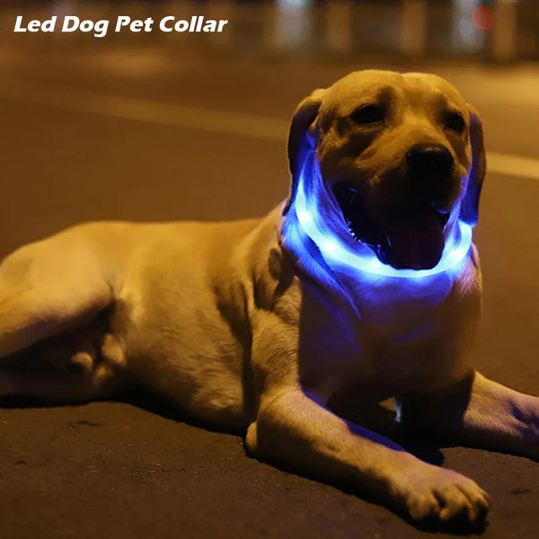 LED Dog Collar with USB Charging - Durable, Foldable, and Luminous Glow for Pet Supplies