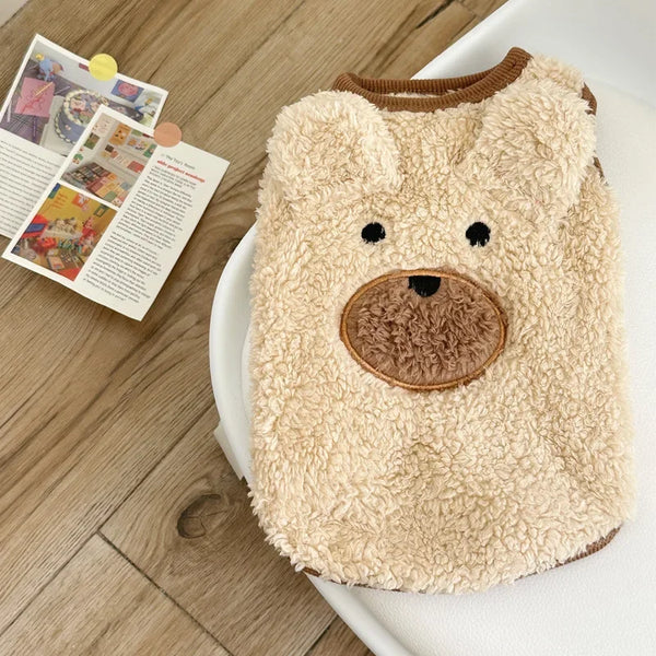 Teddy Bear Sweater Winter Warmth