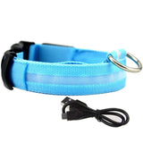 LED DOG COLLAR - USB RECHARGEABLE