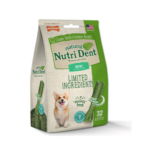 Nylabone Natural Nutri Dent 