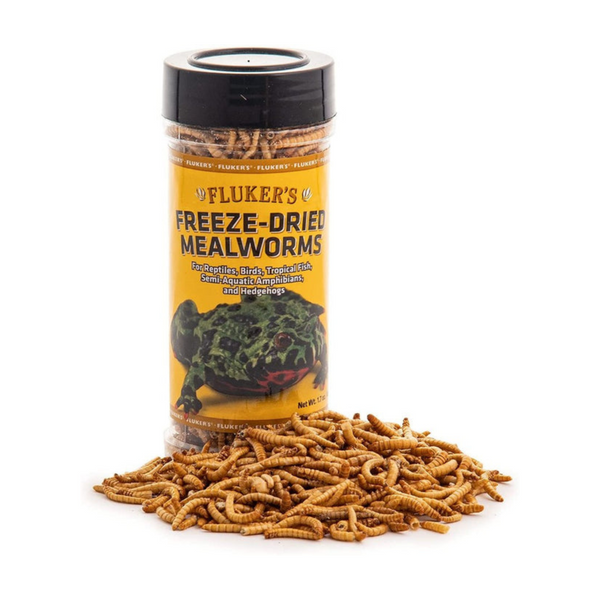 Mealworms for Reptiles, Birds, Tropical Fish