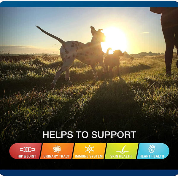 Sergeants VetIQ 5-in-One Multi-Benefit Soft Chews for Dogs