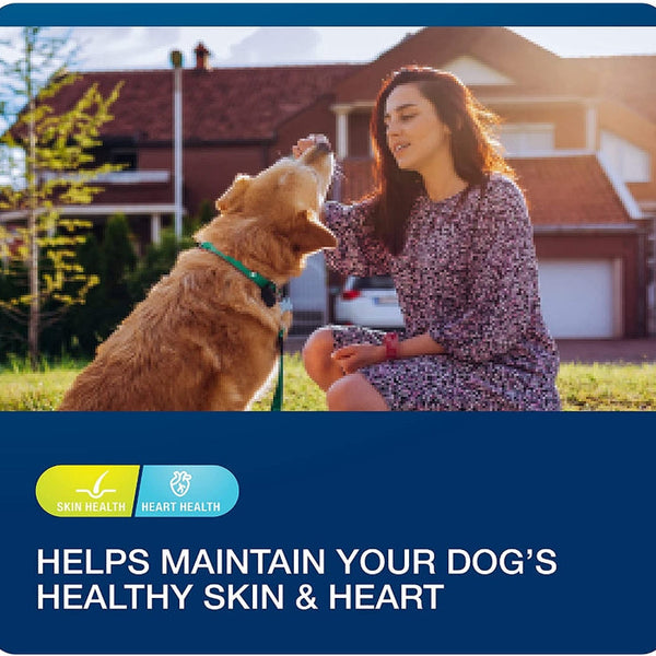 Sergeants VetIQ 5-in-One Multi-Benefit Soft Chews for Dogs