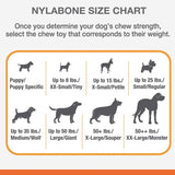 Nylabone Dental Chew