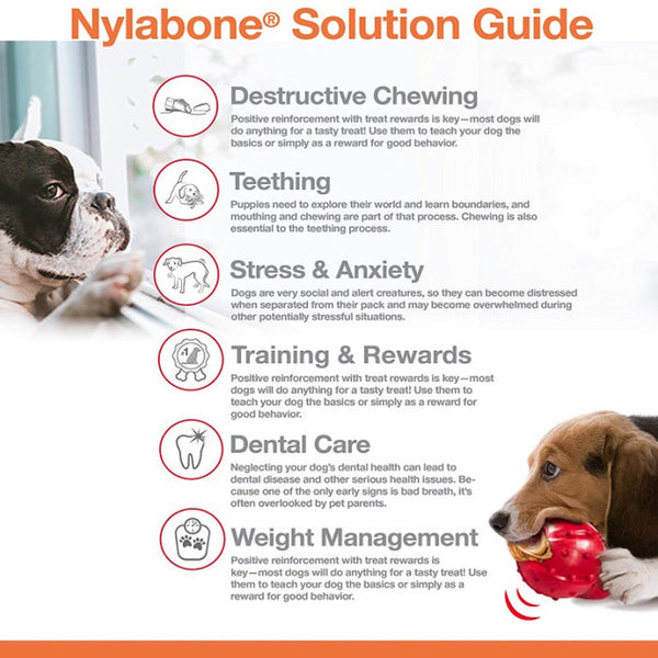 Nylabone Dura Chew Bone Peanut Butter Flavor