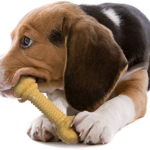 Nylabone Dura Chew Bone Peanut Butter Flavor