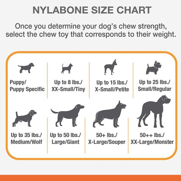 Nylabone Power Chew Knuckle Bone and Pop-In Treat Toy Combo Chicken Flavor Wolf