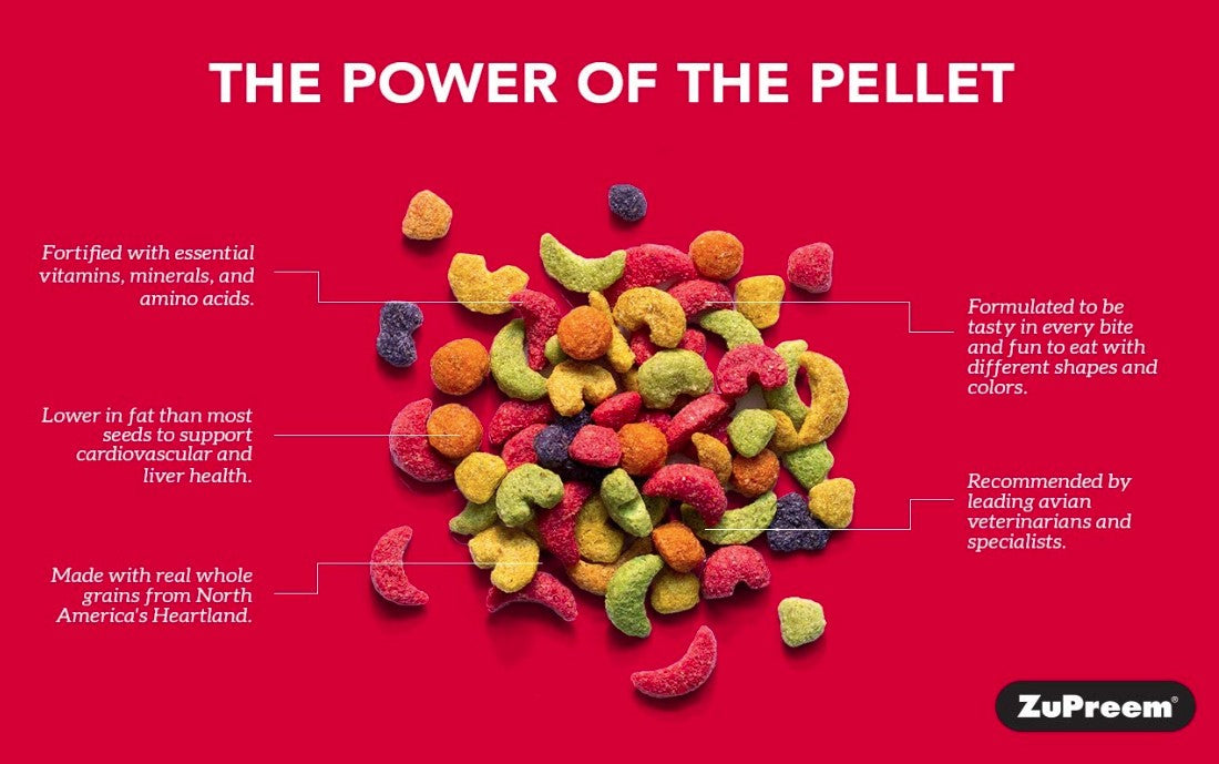 ZuPreem FruitBlend Flavor with Natural Flavors Bird Food for Small Birds